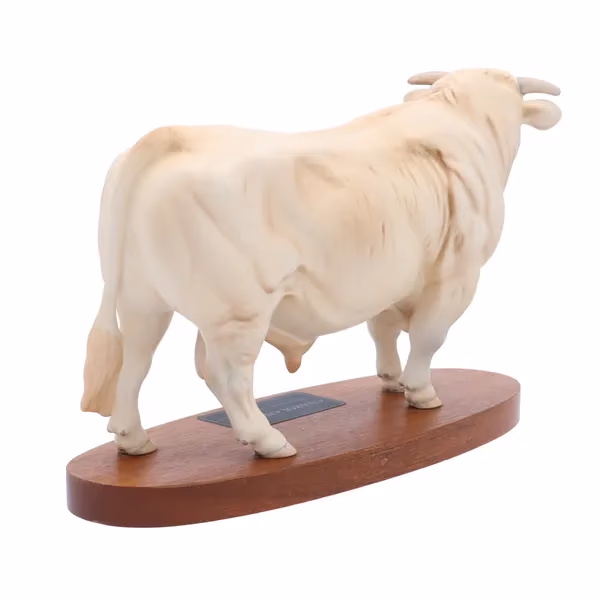 Beswick Charolais Bull