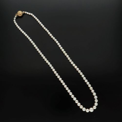 9k Gold Clasp Graduated Cultured Pearls image-2