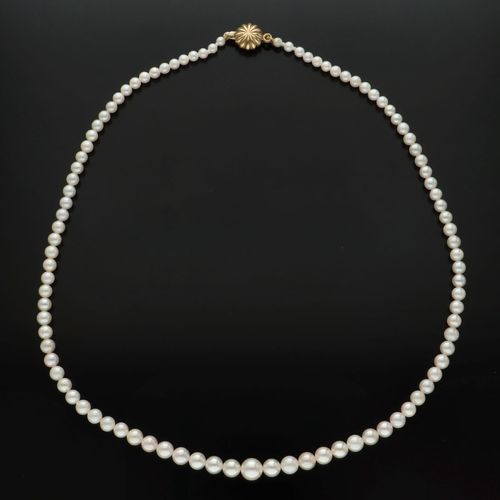 9k Gold Clasp Graduated Cultured Pearls image-4