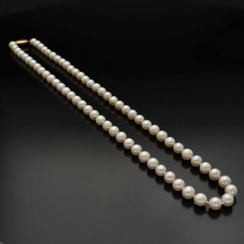 9ct Gold Clasp Cultured Pearls image-2