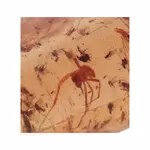 Copal - Zelfvertrouwen - Edelstenen Webwinkel - Webshop Danielle Forrer