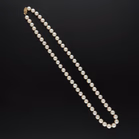 Cultured Pearl Necklace