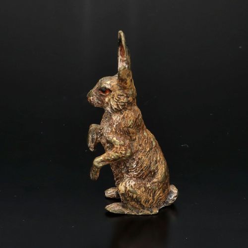 Cold Painted Bronze of a Hare by Franz Bergman image-3