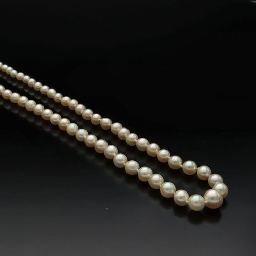 18ct Gold Clasp Graduated Cultured Pearls image-1