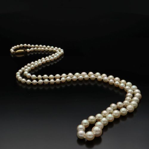 18ct Gold Clasp Graduated Cultured Pearls image-5