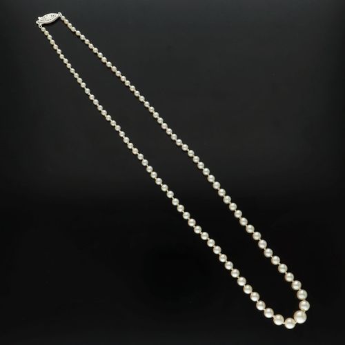 Vintage Silver Clasp Graduated Re-Strung Cultured Pearls image-3
