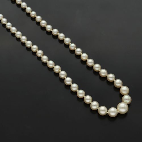 Vintage Silver Clasp Graduated Re-Strung Cultured Pearls image-4