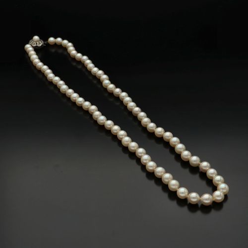 Silver Clasp Re-Strung Cultured Pearls image-4