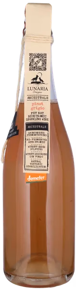 PINOT GRIGIO BIO ANCESTRALE PET NAT Brut Nature, Cantina Orsogna, Abruzzo