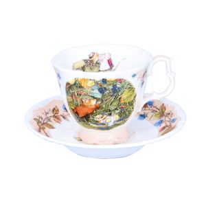 Royal Doulton Brambly Hedge Cup and Saucer