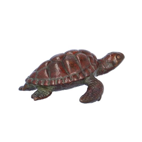 Early 20th Century Japanese Bronze Turtle image-3