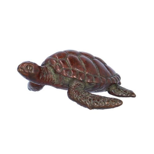 Early 20th Century Japanese Bronze Turtle image-2