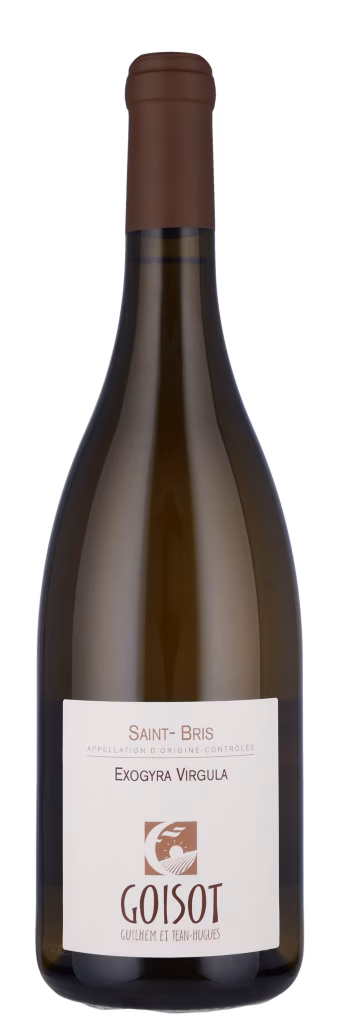 SAINT BRIS EXOGYRA VIRGULA BIO AOC Goisot