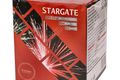 Stargate - 2D image