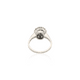 ring safir - 2D image