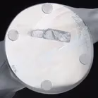 Lalique Nude Vitesse Car Mascot