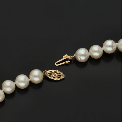 14ct Gold Clasp Cultured Pearl Necklace image-5