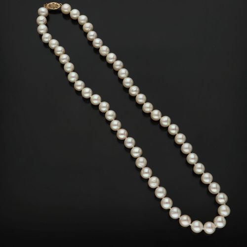 14ct Gold Clasp Cultured Pearl Necklace image-3