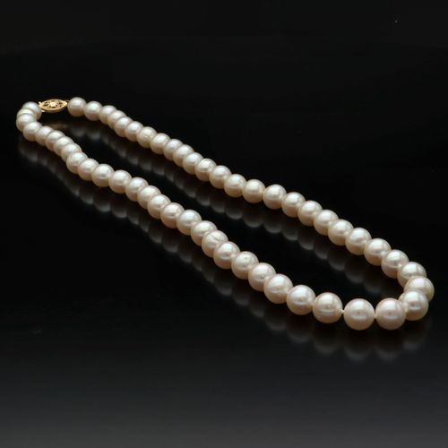14ct Gold Clasp Cultured Pearl Necklace image-2