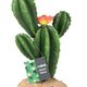 ProRep Flowering Cactus - 360° presentation