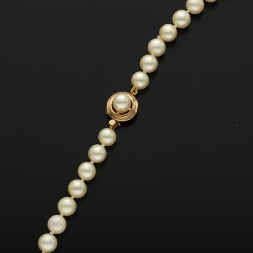 14ct Gold Clasped Cultured Pearl Necklace image-3