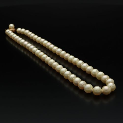 14ct Gold Clasped Cultured Pearl Necklace image-2