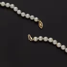 9ct Gold Clasp Cultured Pearl Necklace