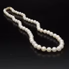 9ct Gold Clasp Cultured Pearl Necklace