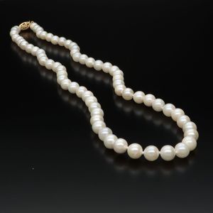 9ct Gold Clasp Cultured Pearl Necklace