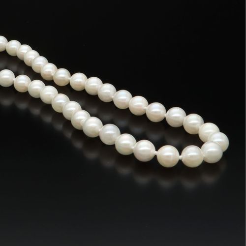 9ct Gold Clasp Cultured Pearl Necklace image-2