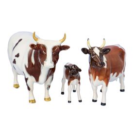 Beswick Cattle Family Ayrshire Breed