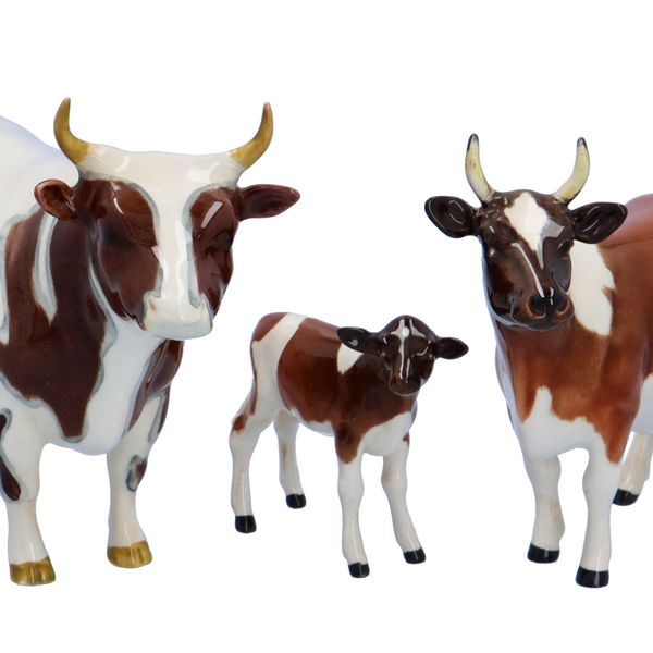 Beswick Cattle Family Ayrshire Breed