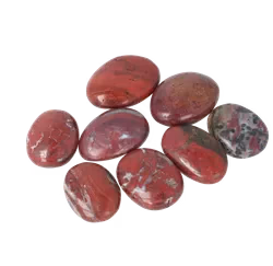 Versteend hout kopen - Versteendhout - Zakstenen - handstenen - Edelstenen webwinkel - Webshop Danielle Forrer