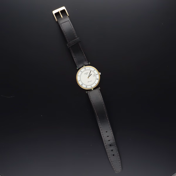 Rotary Anniversary Watch