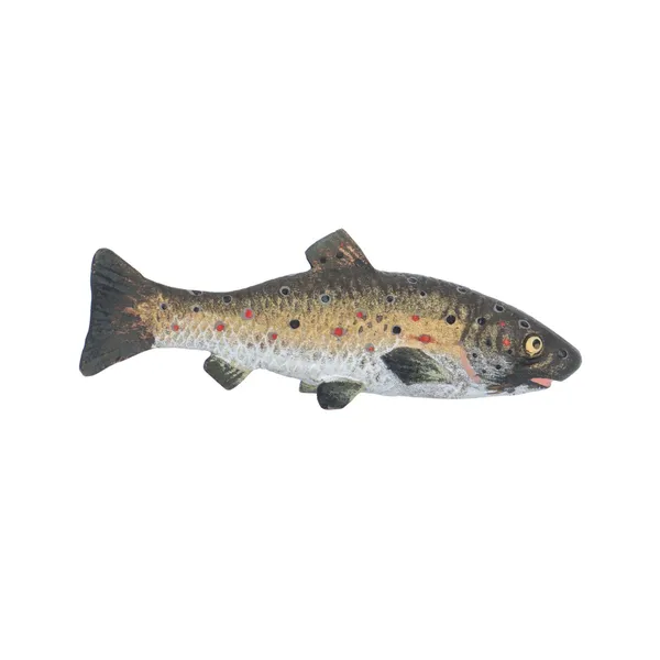 Cold Painted Bronze Fish