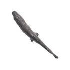 Cold Painted Bronze Fish