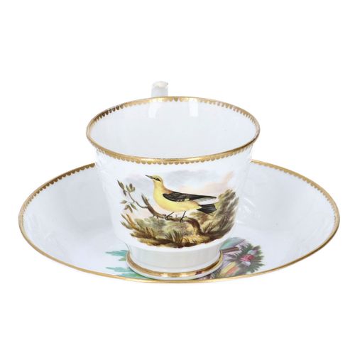 Early 19th Century Spode Birds Cup and Saucer image-1