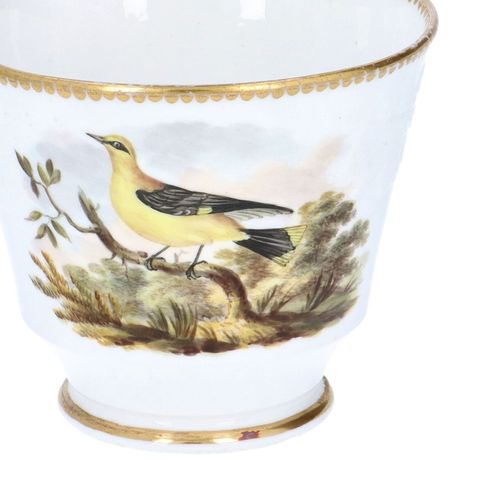 Early 19th Century Spode Birds Cup and Saucer image-5