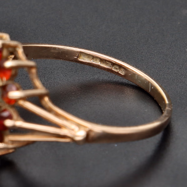 9ct Yellow Gold Opal & Garnet Flower Cluster Ring