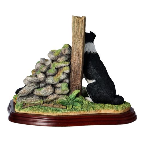 Border Fine Arts Ready and Waiting Border Collies image-2