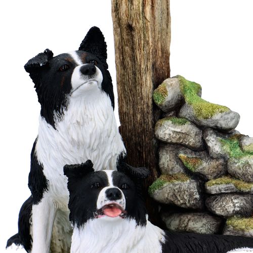 Border Fine Arts Ready and Waiting Border Collies image-4