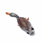 Antique Cold Painted Bronze Duck