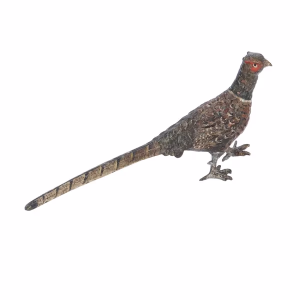 Antique Cold Painted Bronze Pheasant