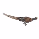 Antique Cold Painted Bronze Pheasant