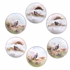 Set Of 6 Royal Doulton Porcelain Cups & Saucers