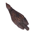 19th Century Scottish Carved Grouse Table Snuff Box
