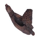 19th Century Scottish Carved Grouse Table Snuff Box