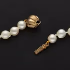 9ct Yellow Gold Clasp Re-Strung Cultured Pearls Necklace