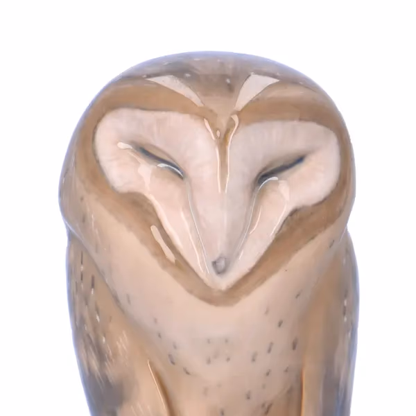 Royal Copenhagen Large Barn Owl