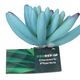 ProRep Sedum Plant Blue - 360° presentation